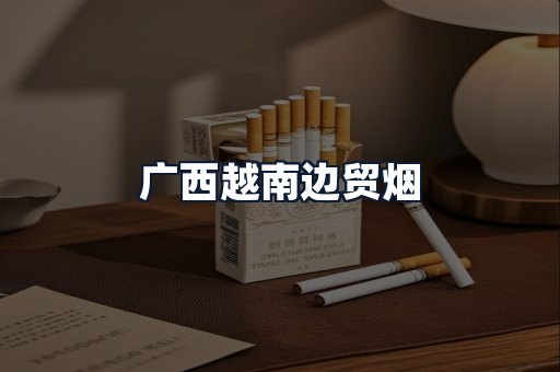 广西越南边贸烟